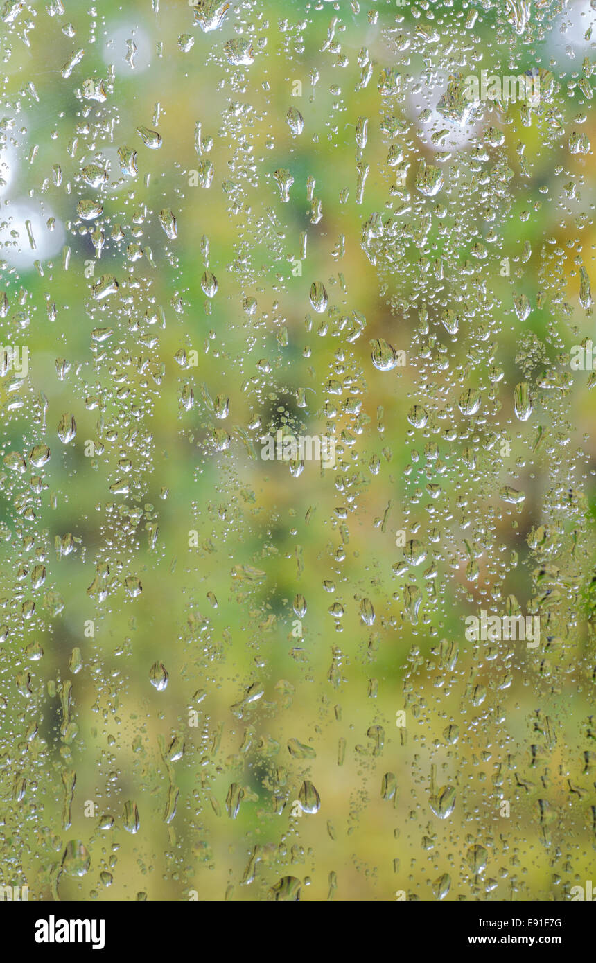 Gouttes de pluie sur les vitres à l'arrière-plan des forêts Banque D'Images