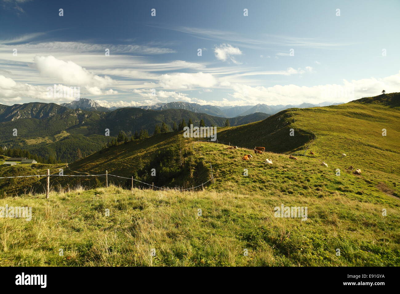 terre d’herbe Banque D'Images