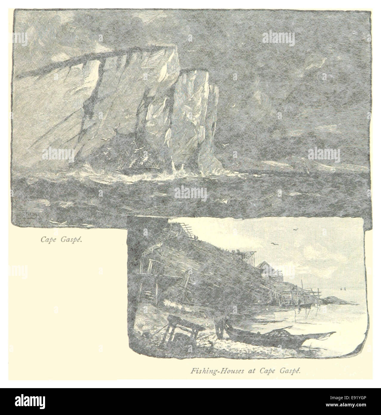 Illustration de 1885, page 43, représentant le cap Gaspé, une caractéristique géographique importante située au Québec, Canada, connue pour sa beauté naturelle et ses vues côtières. Banque D'Images