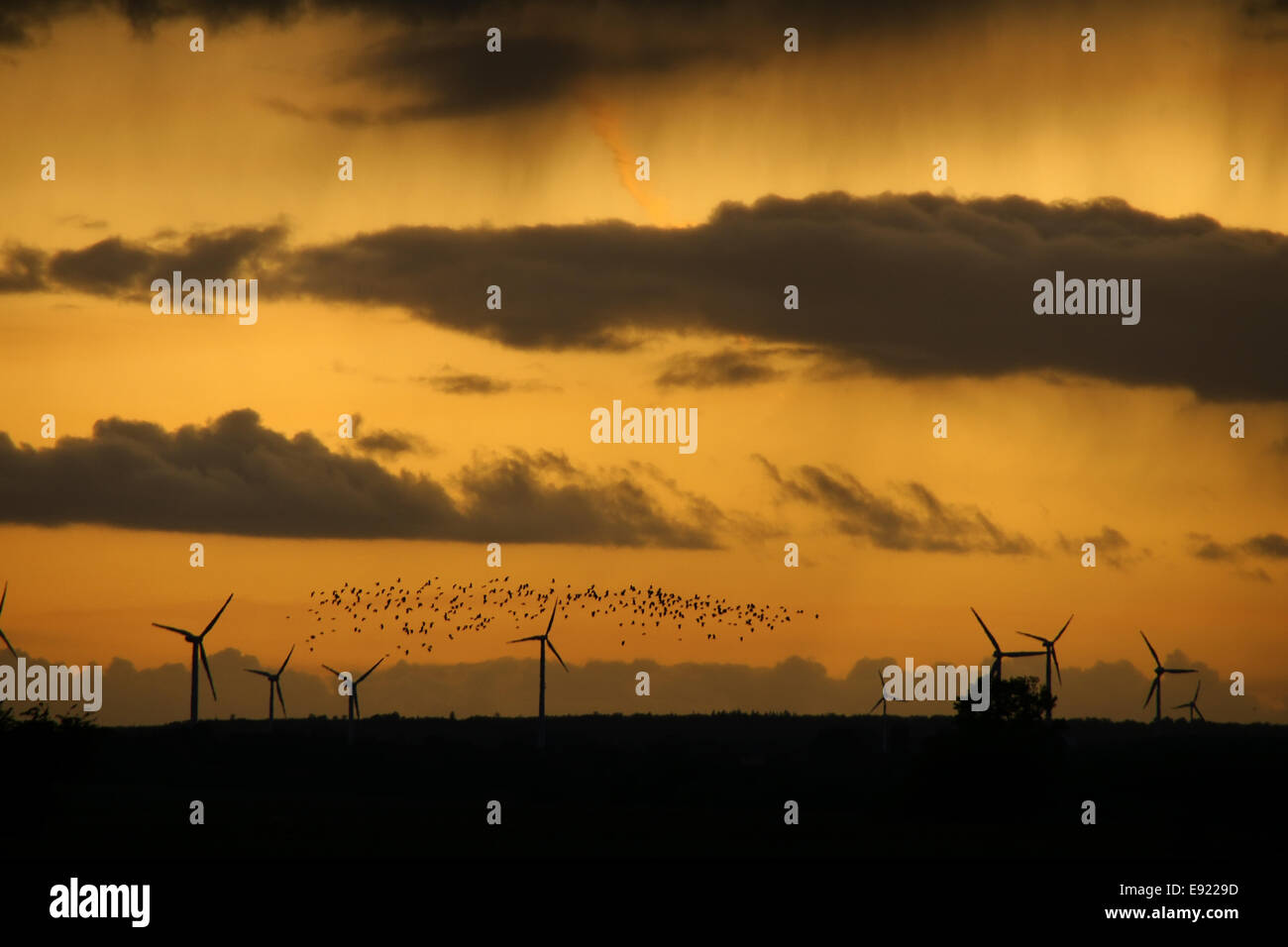 Les moteurs à vent sur le coucher du soleil, Allemagne Banque D'Images