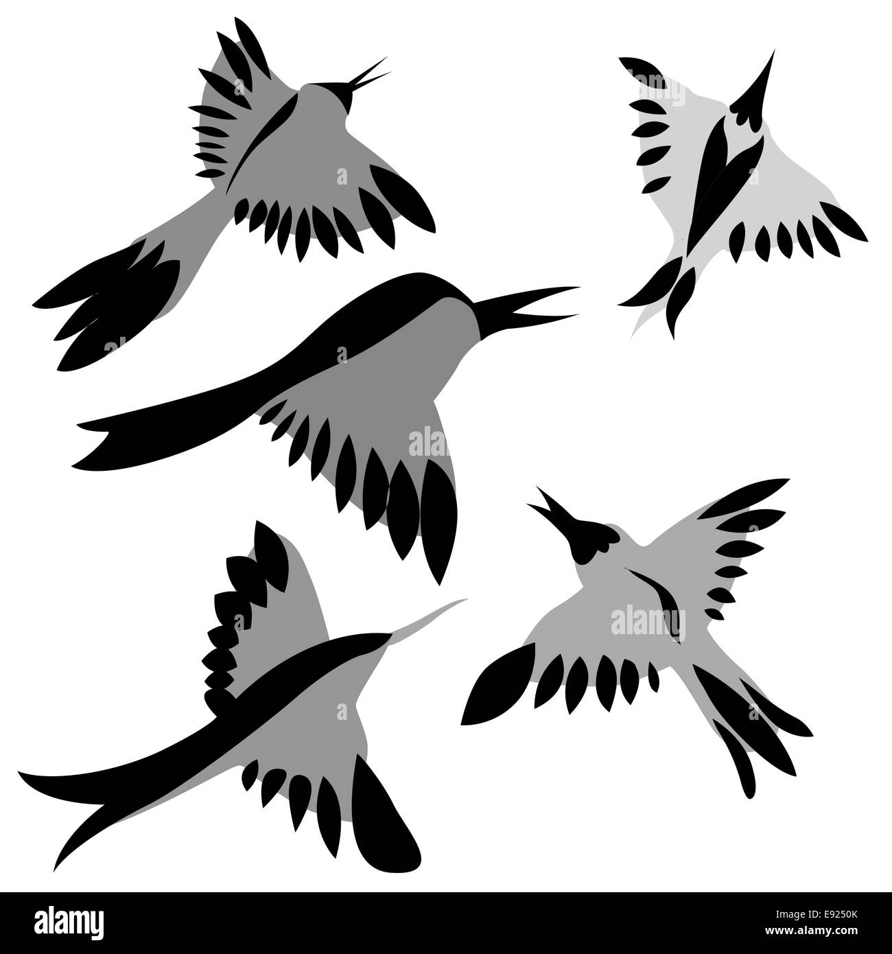 Oiseaux de décoration dessin sur fond blanc Banque D'Images