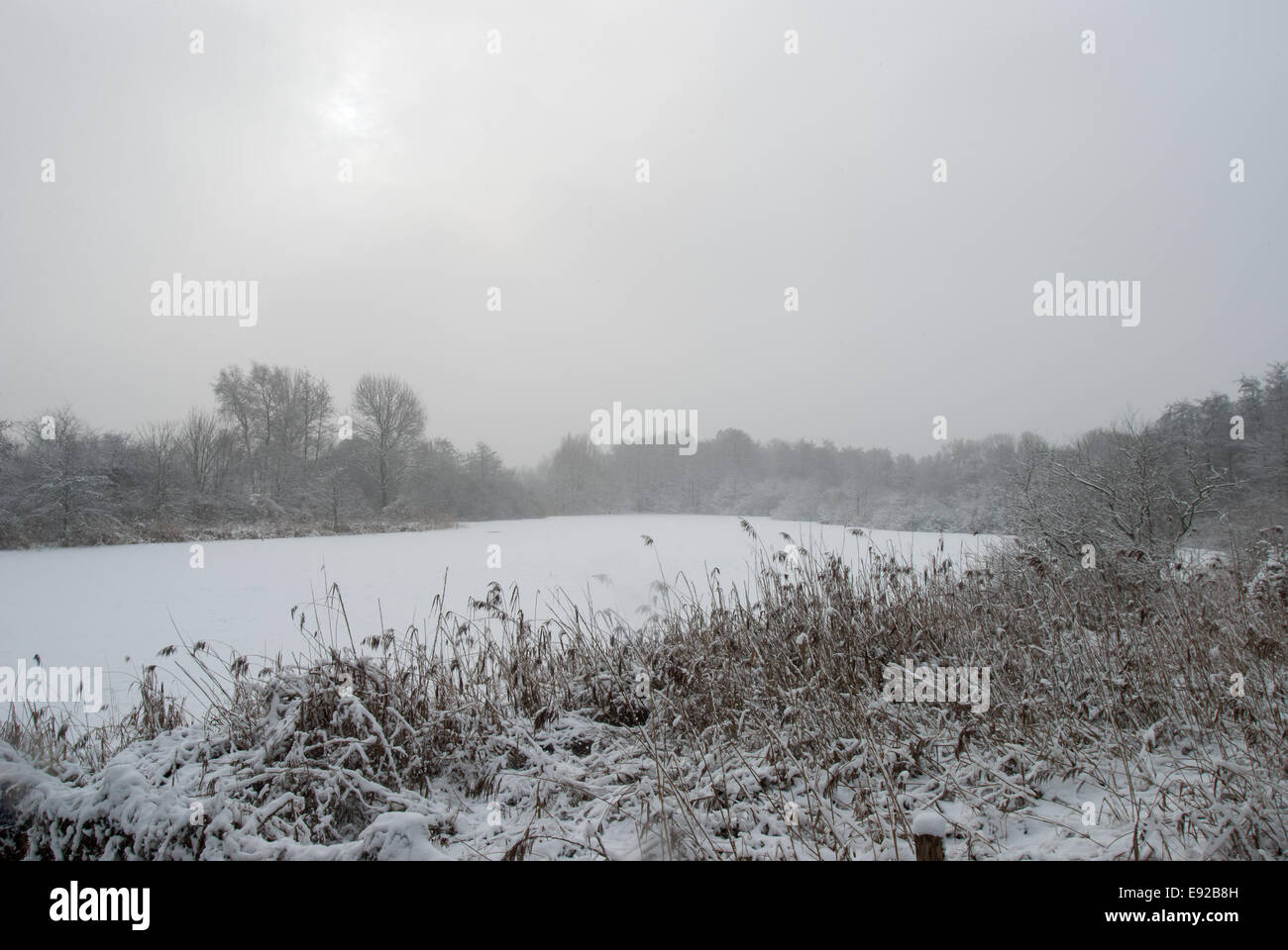 Paysage d'hiver à la périphérie de Berlin Banque D'Images