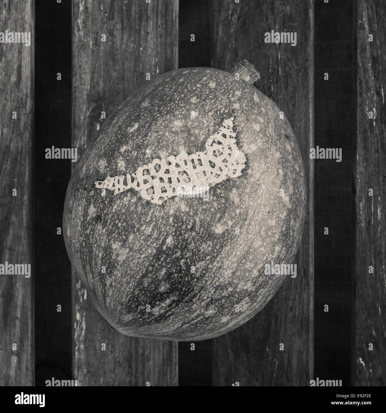 Toujours en noir et blanc image vie de matières organiques sur la surface en bois potiron cultivée Banque D'Images
