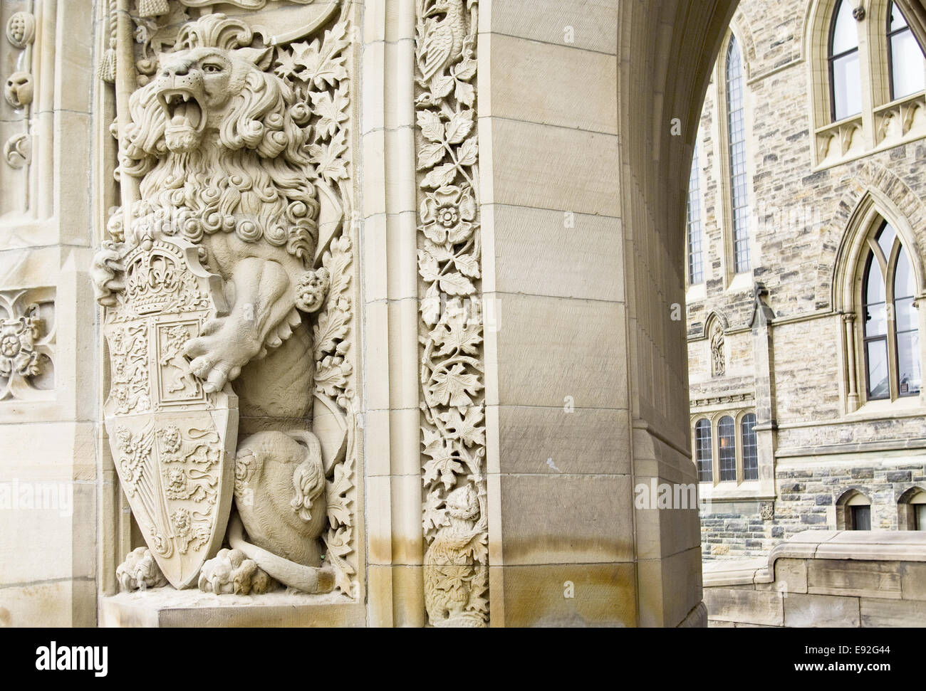 Lion de politique Banque D'Images