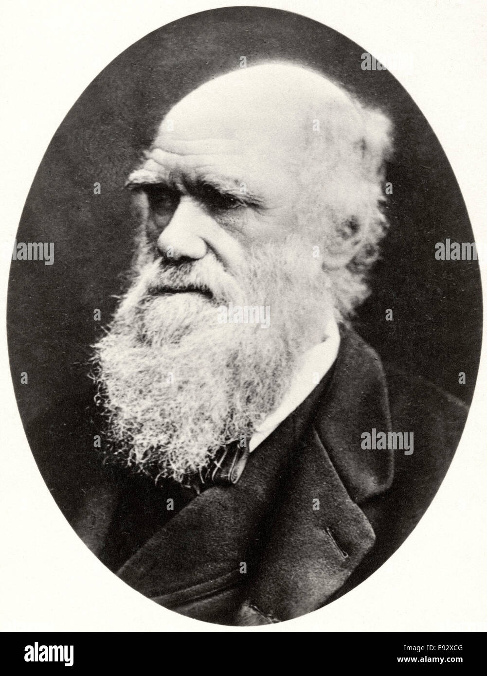 Charles Darwin (1809-82), naturaliste anglais, Portrait, circa 1878 Banque D'Images