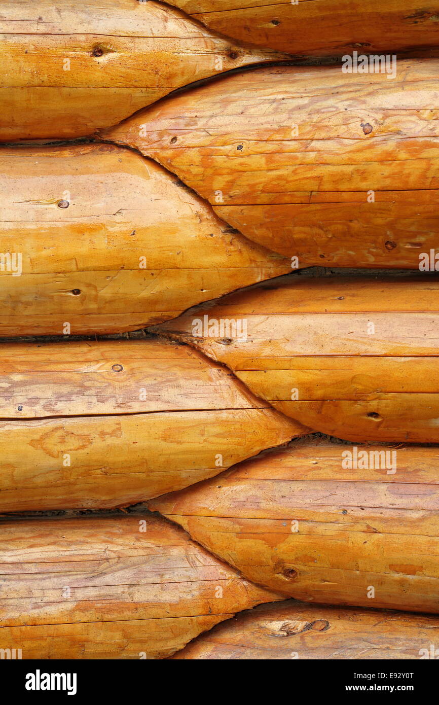 Intersection, de poutres de bois rond sur un mur extérieur d'un lodge Banque D'Images