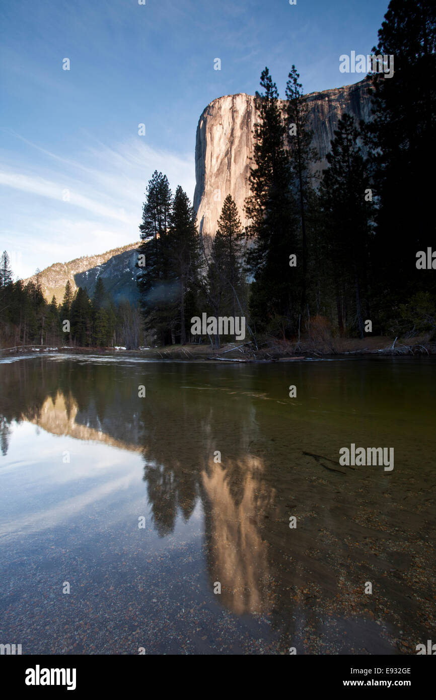 El Capitan reflétée dans la rivière Merced, Yosemite National Park, Californie. Banque D'Images