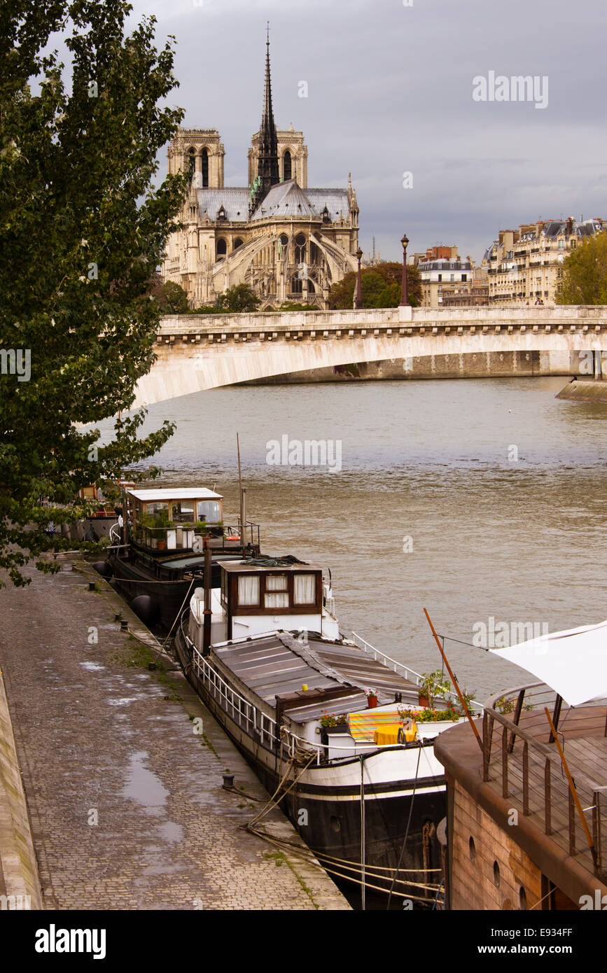 Les chalands amarrés le long de la rive gauche de la Seine à Notre Dame dans la distance, Paris, France Banque D'Images