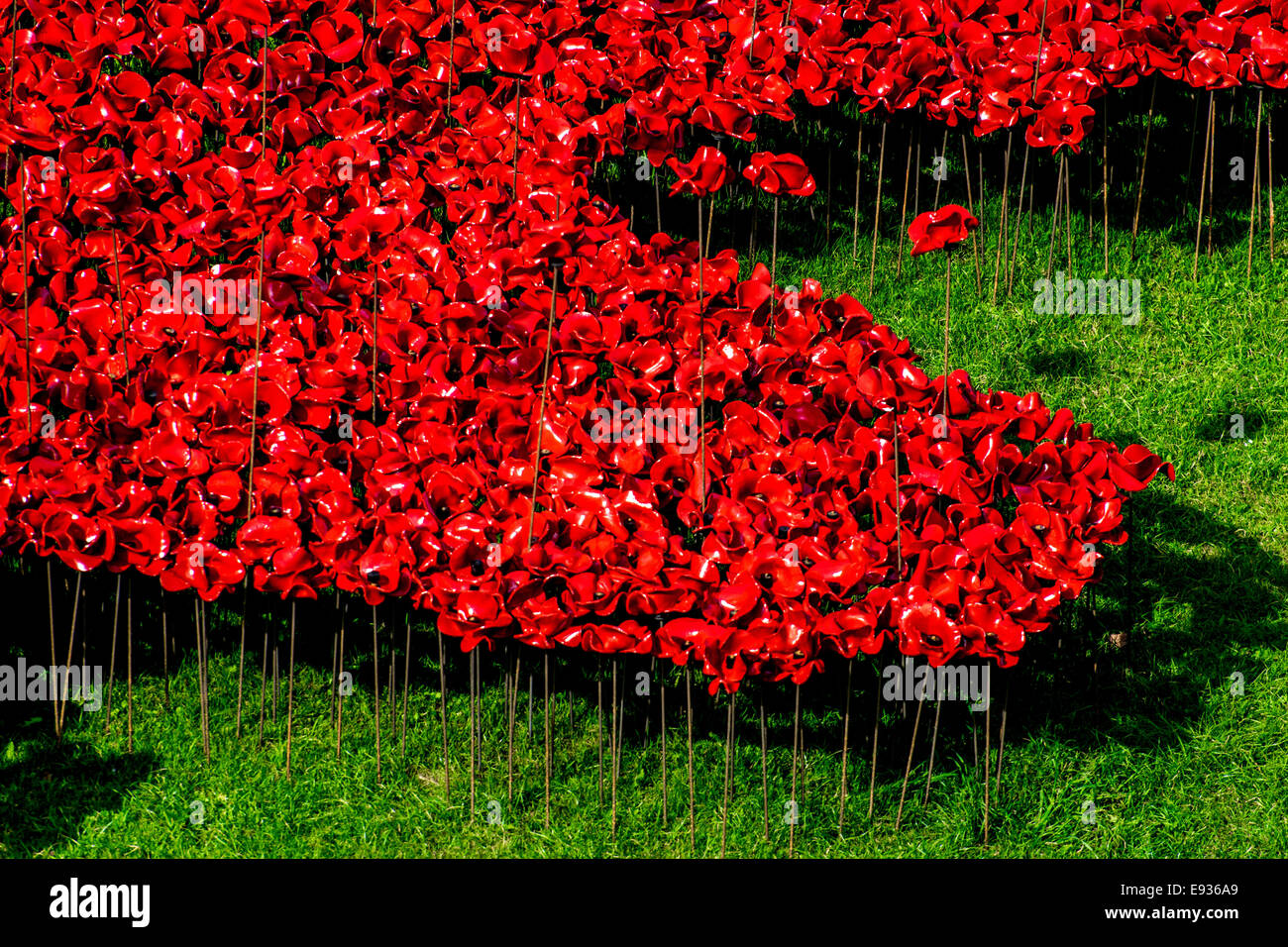 L'installation de pavot à la Tour de Londres de se rappeler les soldats britanniques qui se sont sacrifiés pour leur pays dans la PREMIÈRE GUERRE MONDIALE Banque D'Images