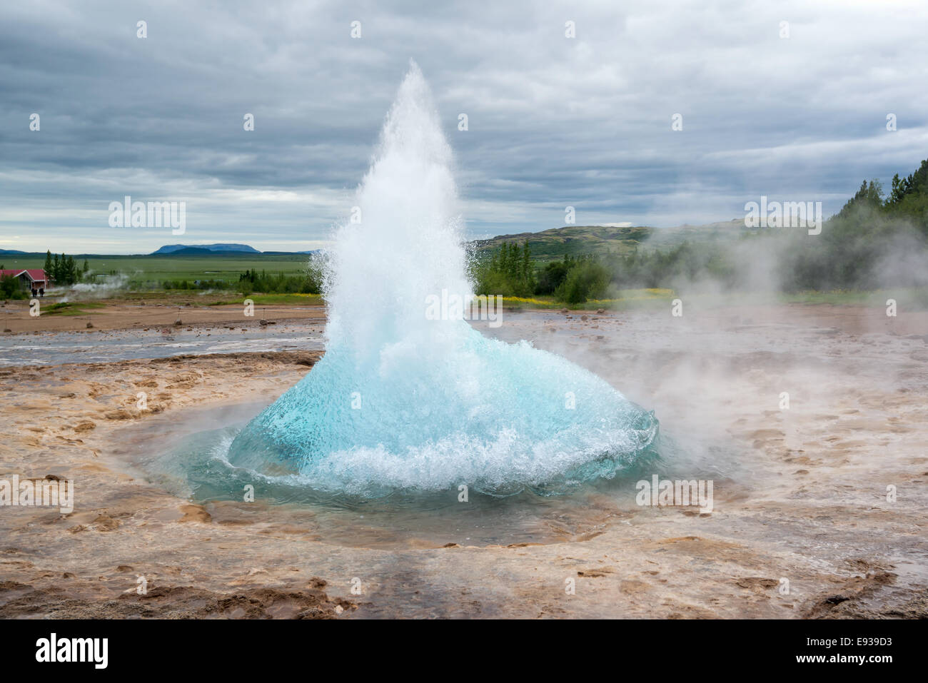 Strokkur geyser bulle prête à souffler, Islande en juin Banque D'Images