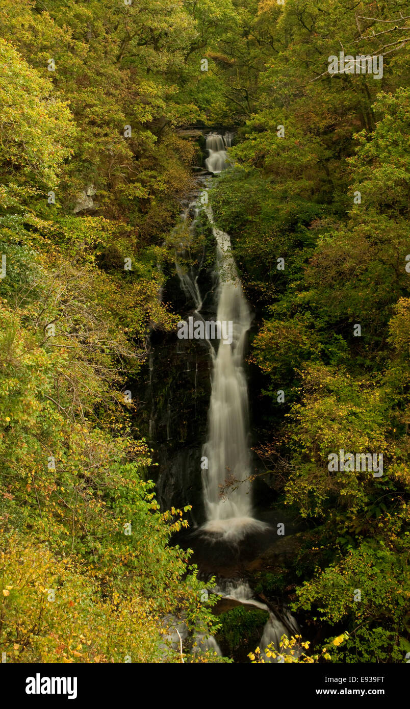 Bouchon verseur noir chute près de Pitlochry en automne Banque D'Images