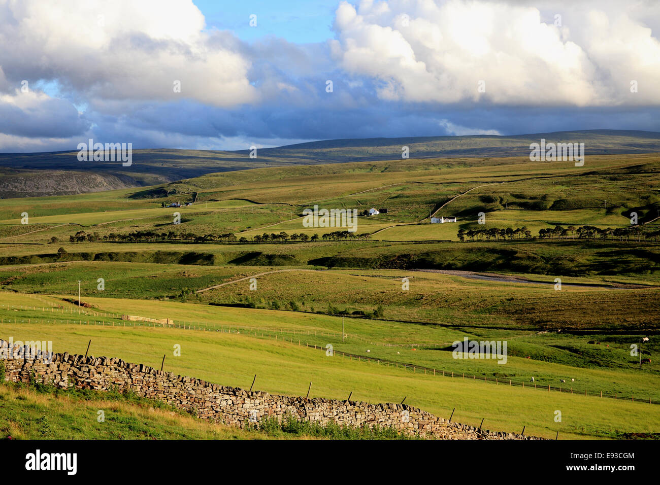 3238. La région de Teesdale, Durham, UK Banque D'Images