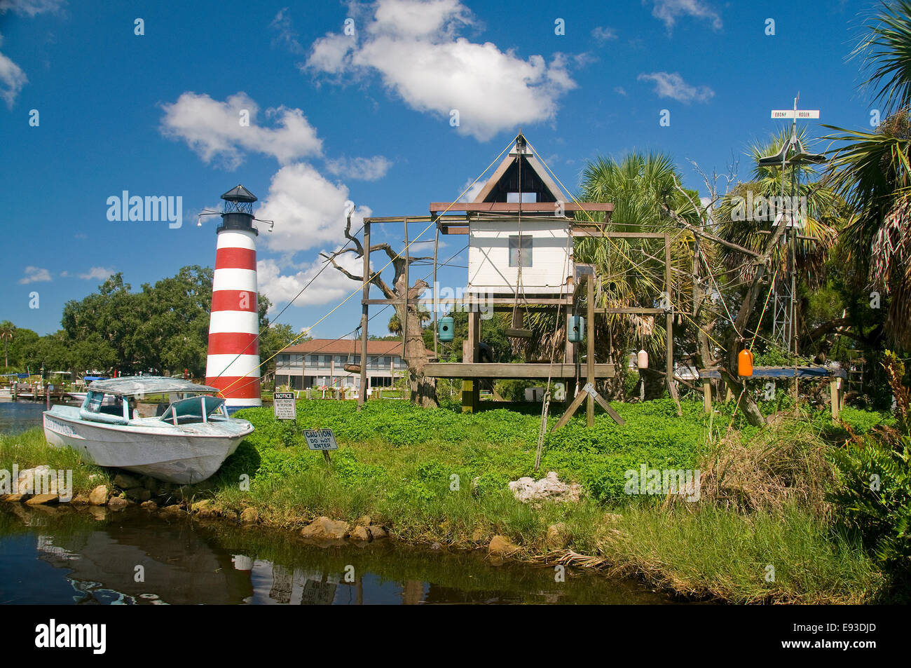 Plusieurs singes araignées résident sur Monkey Island qui se trouve le long de la rivière Homosassa adjacent à la Homosassa Riverside Resort. Banque D'Images