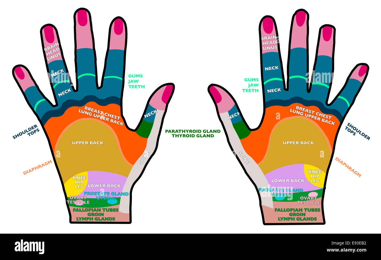 La réflexologie des mains, poche dos, santé, massage Banque D'Images