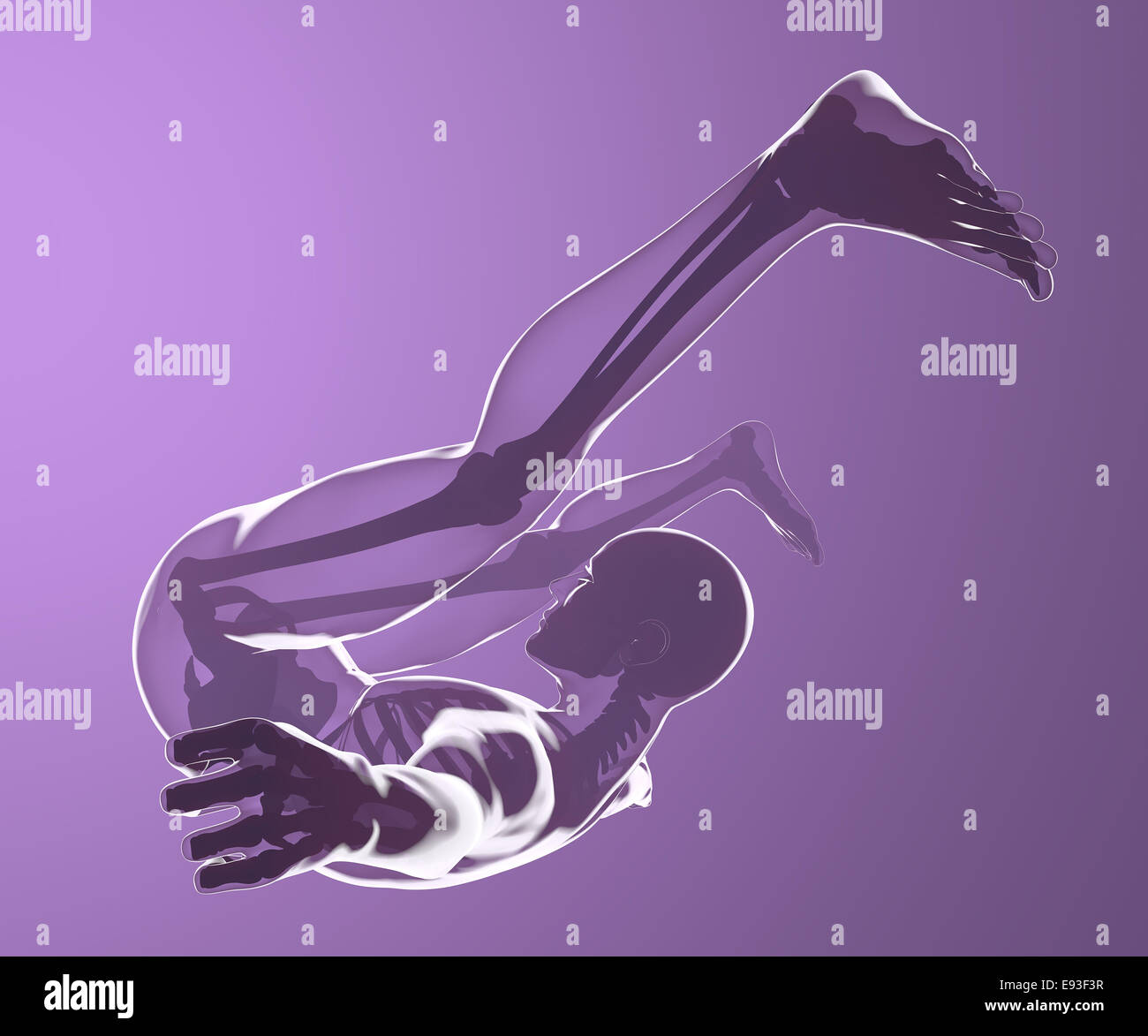 La chute d'un corps humain vu sur les rayons x Banque D'Images