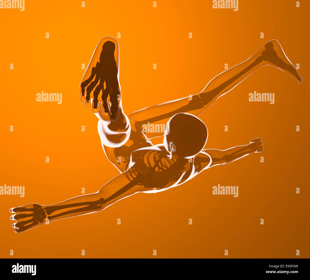 La chute d'un corps humain vu sur les rayons x Banque D'Images