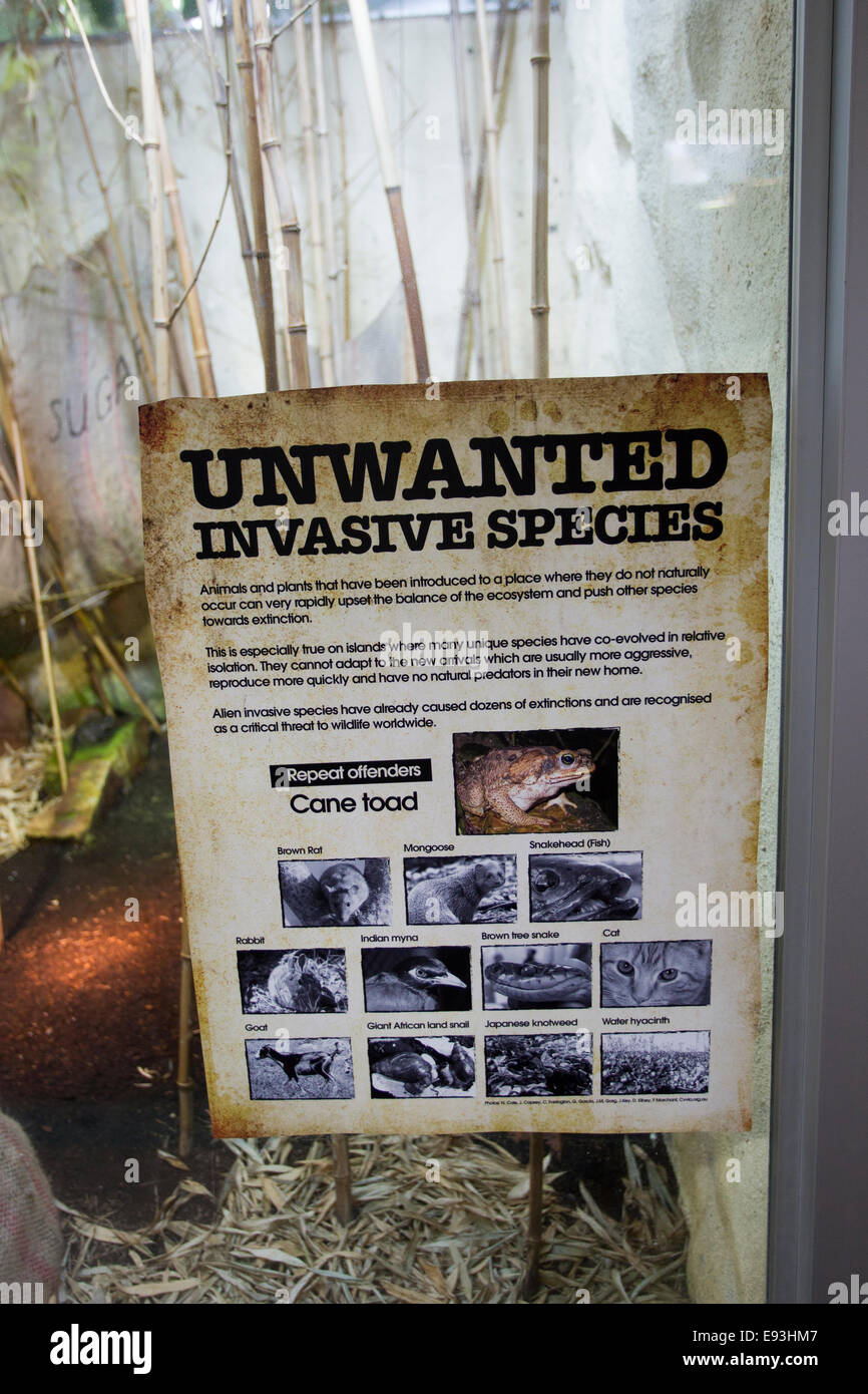 Les espèces envahissantes indésirables sign in maison de reptile Durrell Wild Life Trust Trinity Jersey Channel Islands Banque D'Images