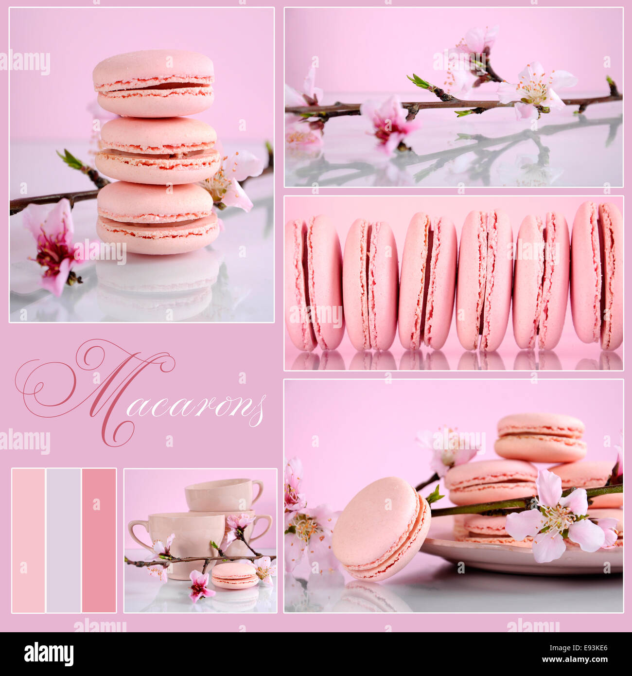 Macarons rose vintage avec Collage thème shabby chic et le printemps en fleurs avec l'exemple de texte et couleurs du nuancier. Banque D'Images