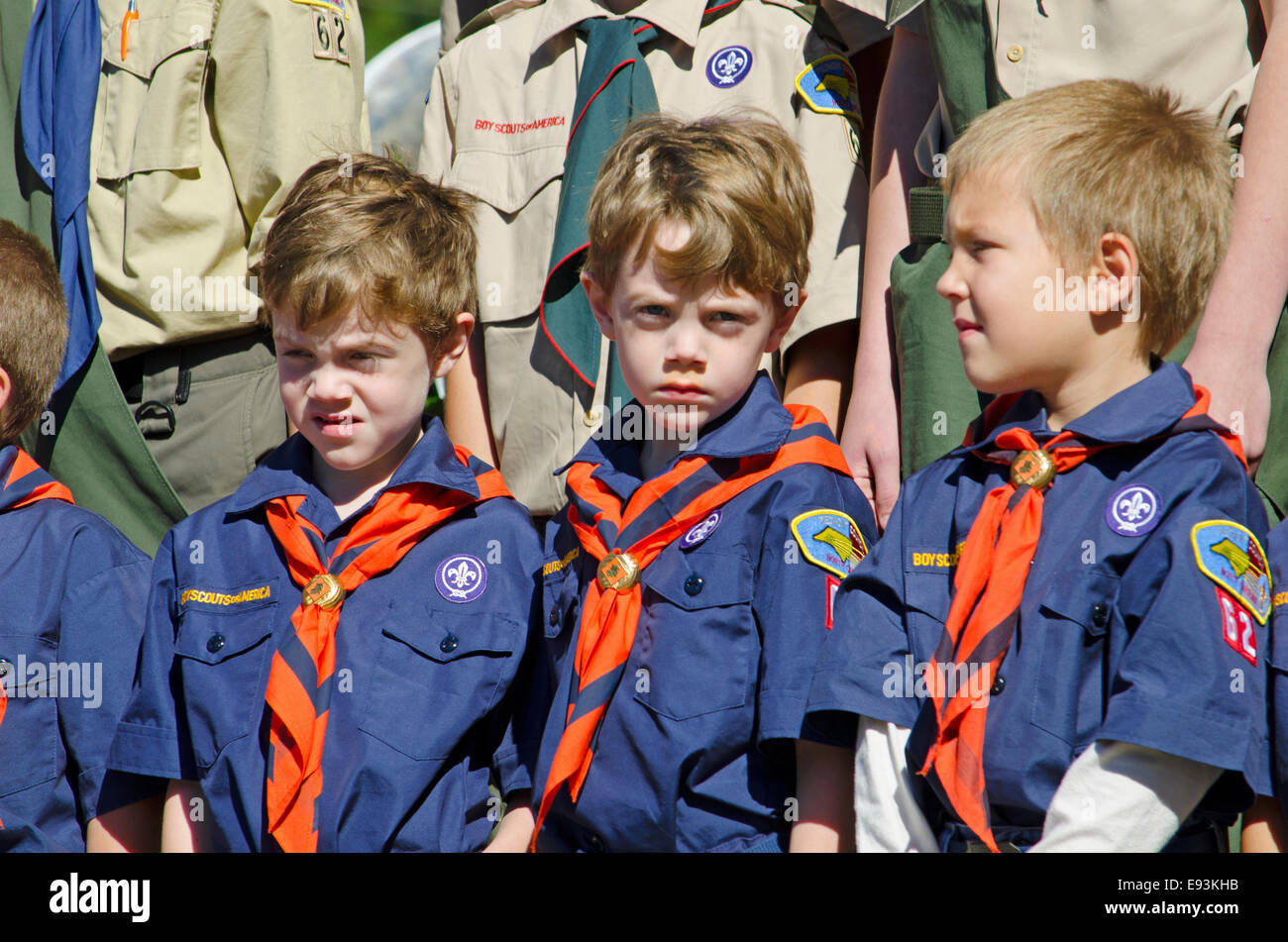 Scouts et louveteaux d'Amérique au garde à vous lors d'un discours en l'honneur des anciens combattants de la Deuxième Guerre mondiale. Banque D'Images