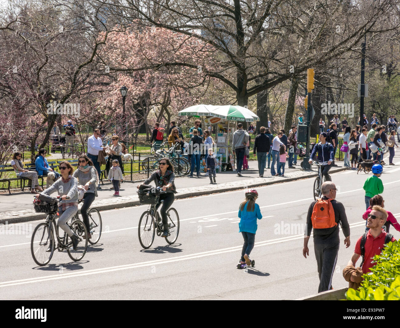 L'activité de printemps, Central Park, NYC, USA Banque D'Images