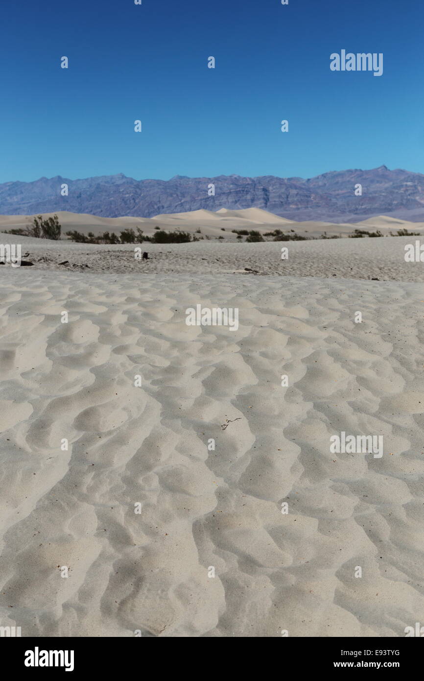 Mesquite sand dunes, vallée de la mort Banque D'Images