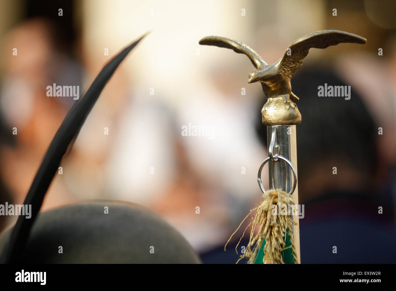 Turin, Italie. 18 Oct, 2014. La Section de Turin de l'Alpine, l'honneur du 142e anniversaire de la Fondation des troupes alpines, avec un concert par le Groupe, sur la Piazza Vittorio à Turin. Crédit : Elena Aquila/Pacific Press/Alamy Live News Banque D'Images