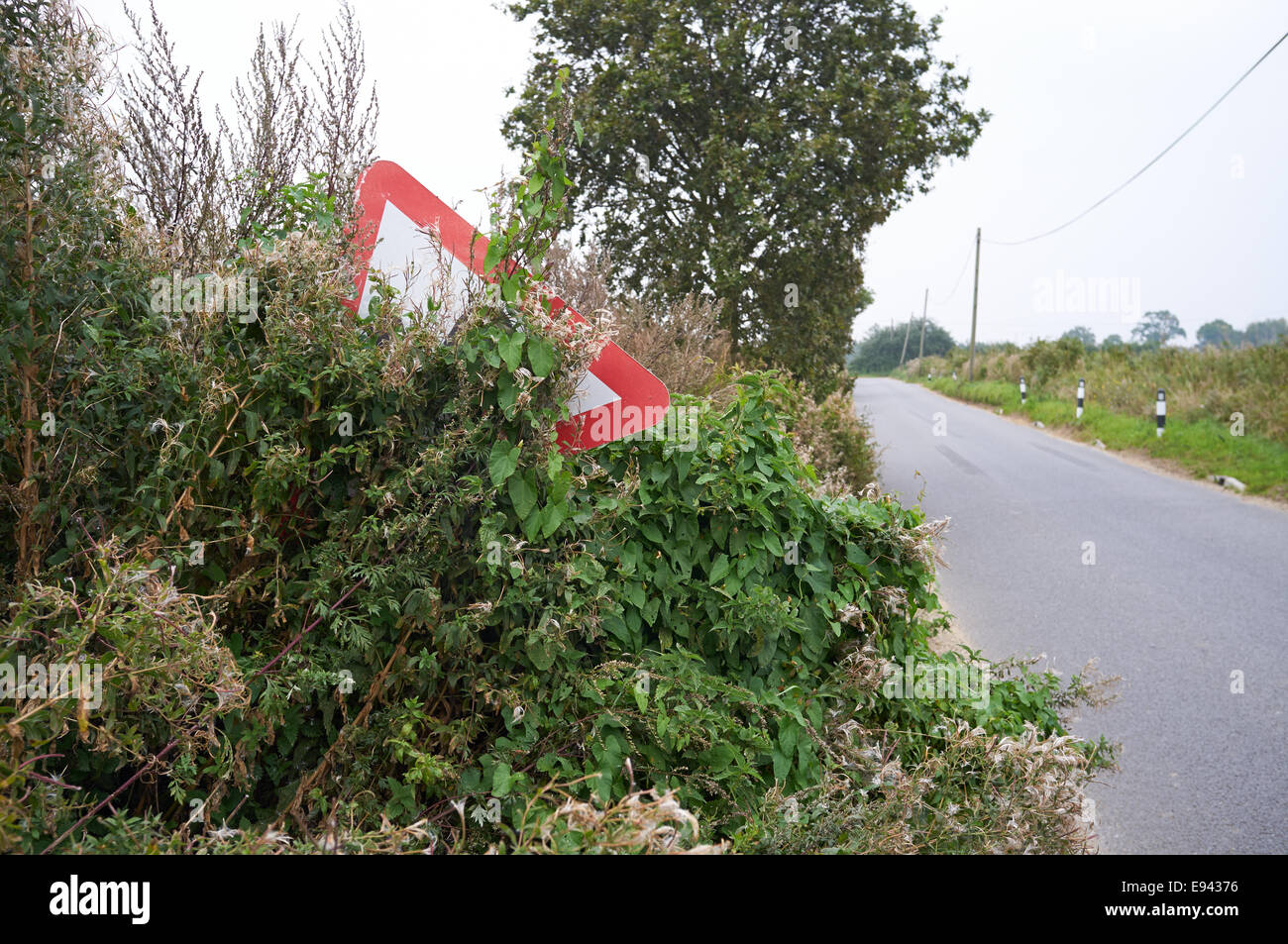 Signe de la route cachée montrant S-se penche en avant sur une route de campagne du Suffolk, UK Banque D'Images