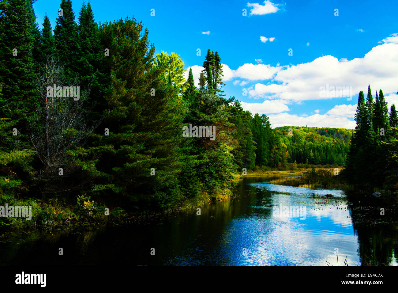 Le Parc Provincial Algonquin Lac Opeongo couleurs d'automne. Ontario Canada Banque D'Images