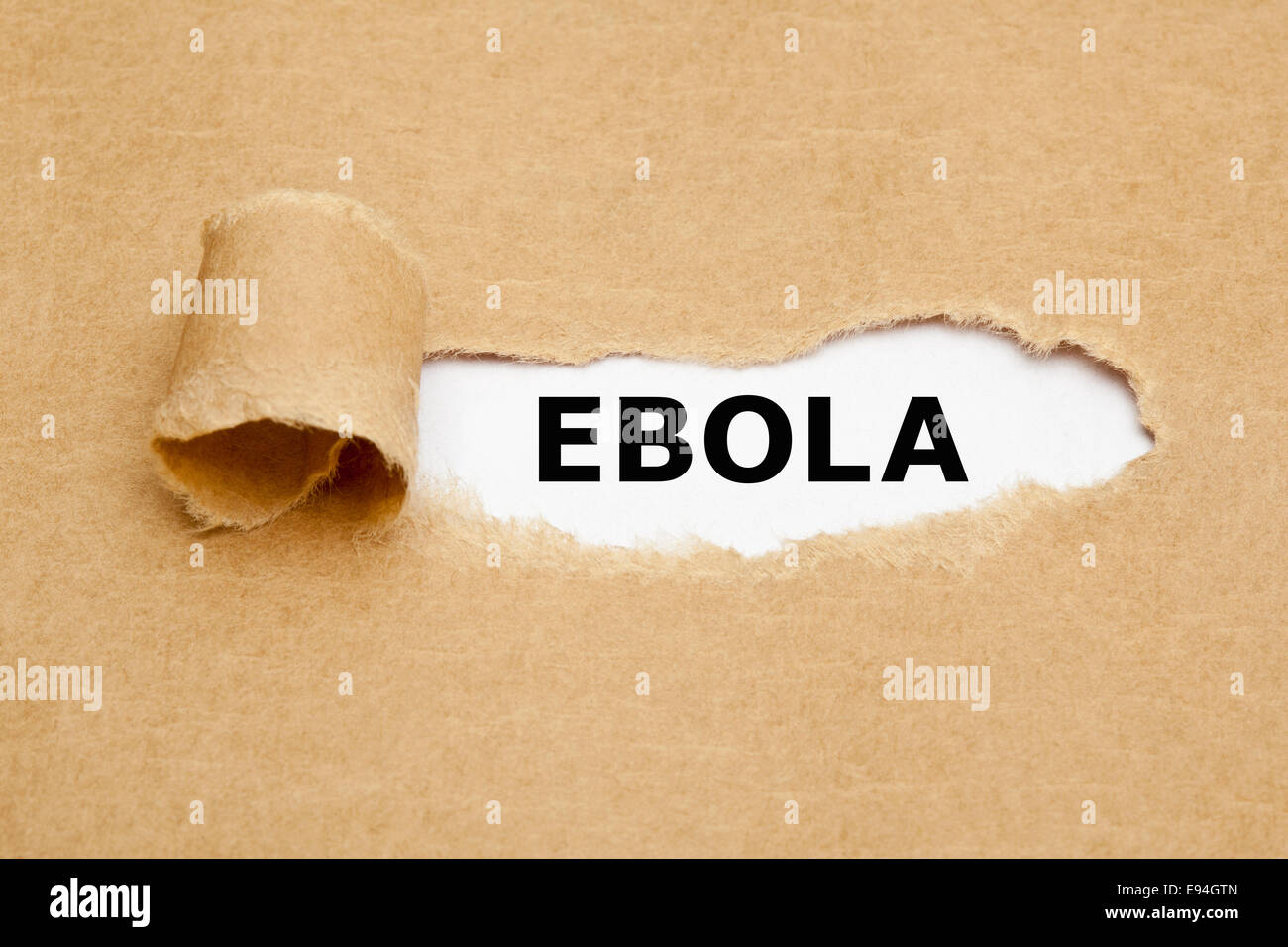 Le mot Virus Ebola apparaître derrière déchiré papier brun. Banque D'Images