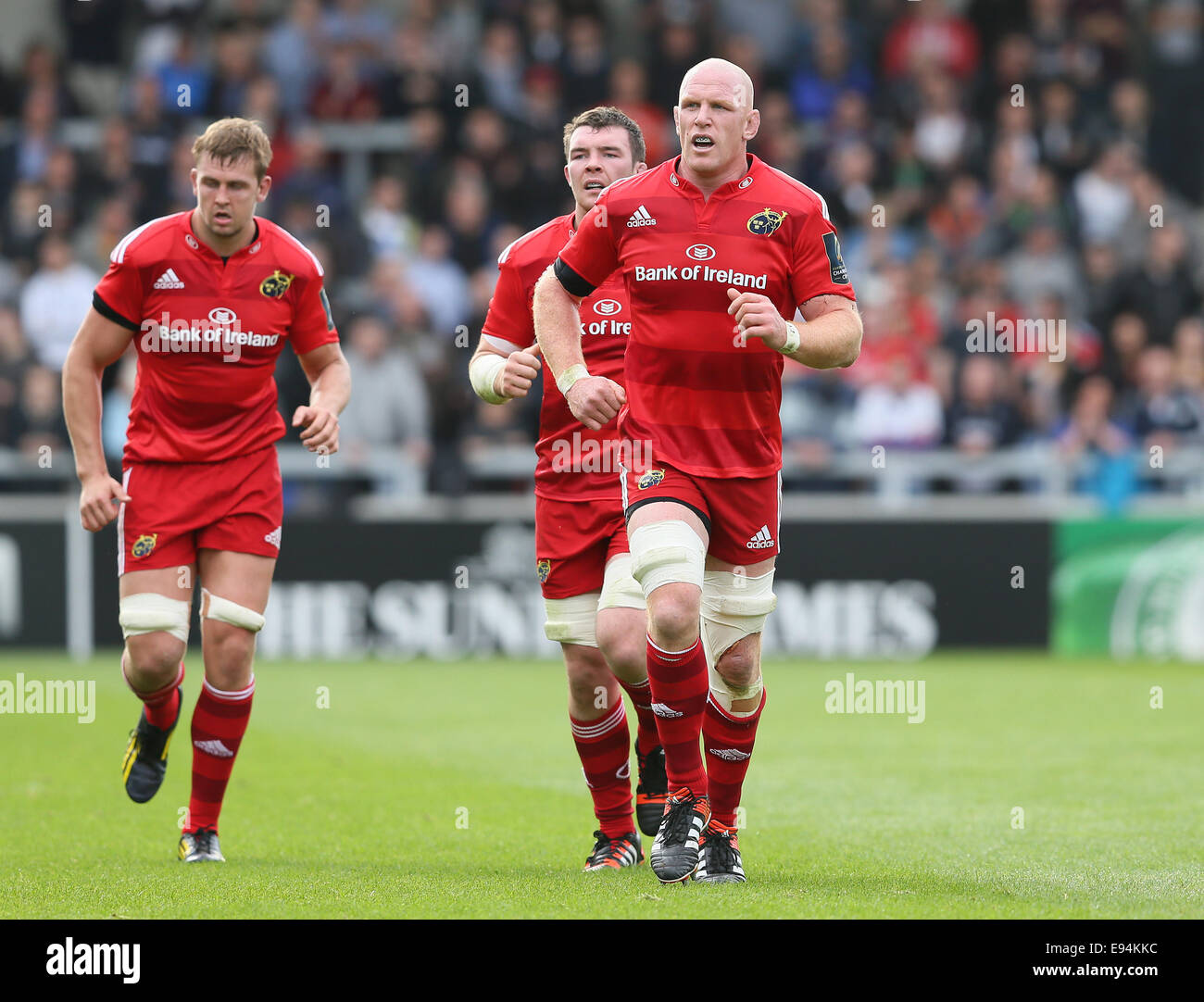 Salford, Royaume-Uni. 18 Oct, 2014. Paul OConnell de Munster - European Rugby Champions Cup - Sale Sharks vs Munster - Stade AJ Bell - Salford- France - 18 octobre 2014 - Photo Simon Bellis/Sportimage. © csm/Alamy Live News Banque D'Images