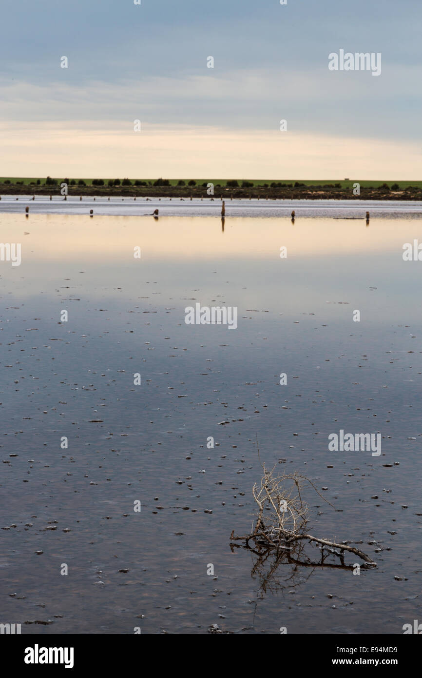 Wahpool le lac près de la ville victorienne de Sea Lake en Australie. Une zone souffrant d'une condition connue comme l'augmentation du sel. Banque D'Images