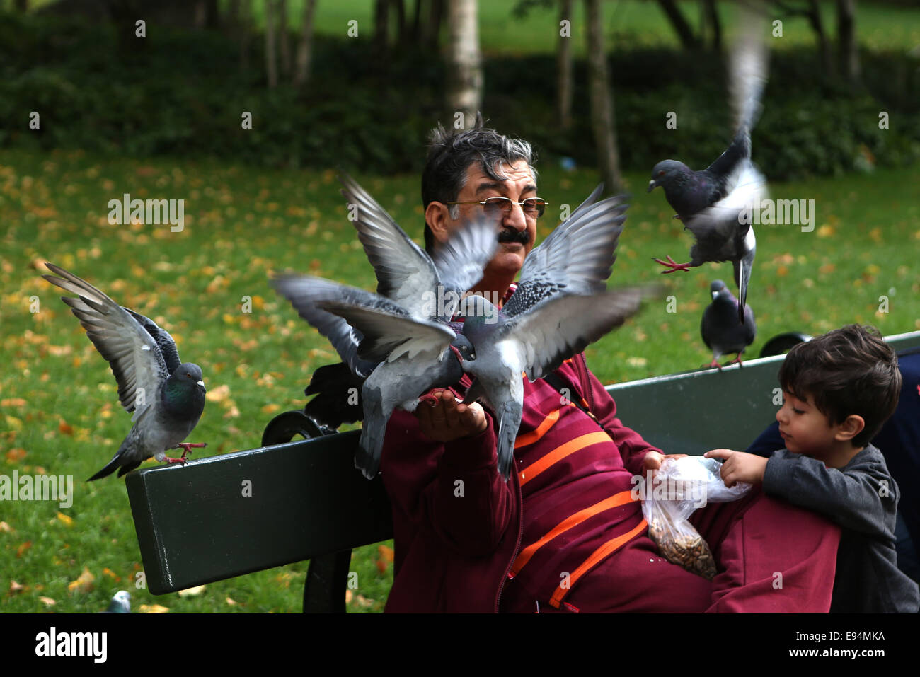 Londres, Royaume-Uni. 19 Oct, 2014. Un homme se nourrit les pigeons dans le centre de Londres, Grande-Bretagne, le 19 octobre 2014, après plusieurs jours de pluie. © Han Yan/Xinhua/Alamy Live News Banque D'Images