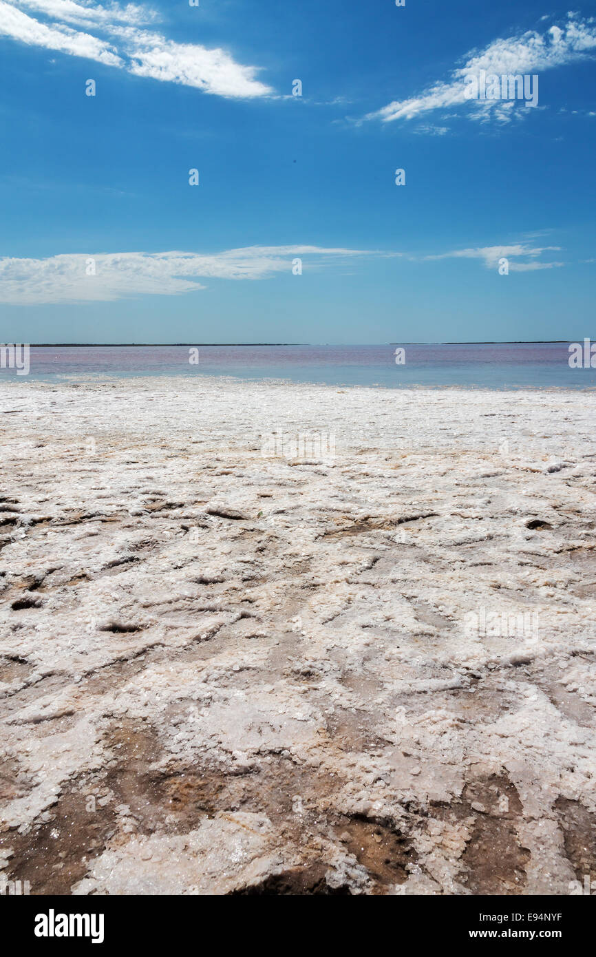 Lac Tyrrell est un lac salé trouvé près de la ville de campagne victorienne Sea Lake en Australie. Banque D'Images