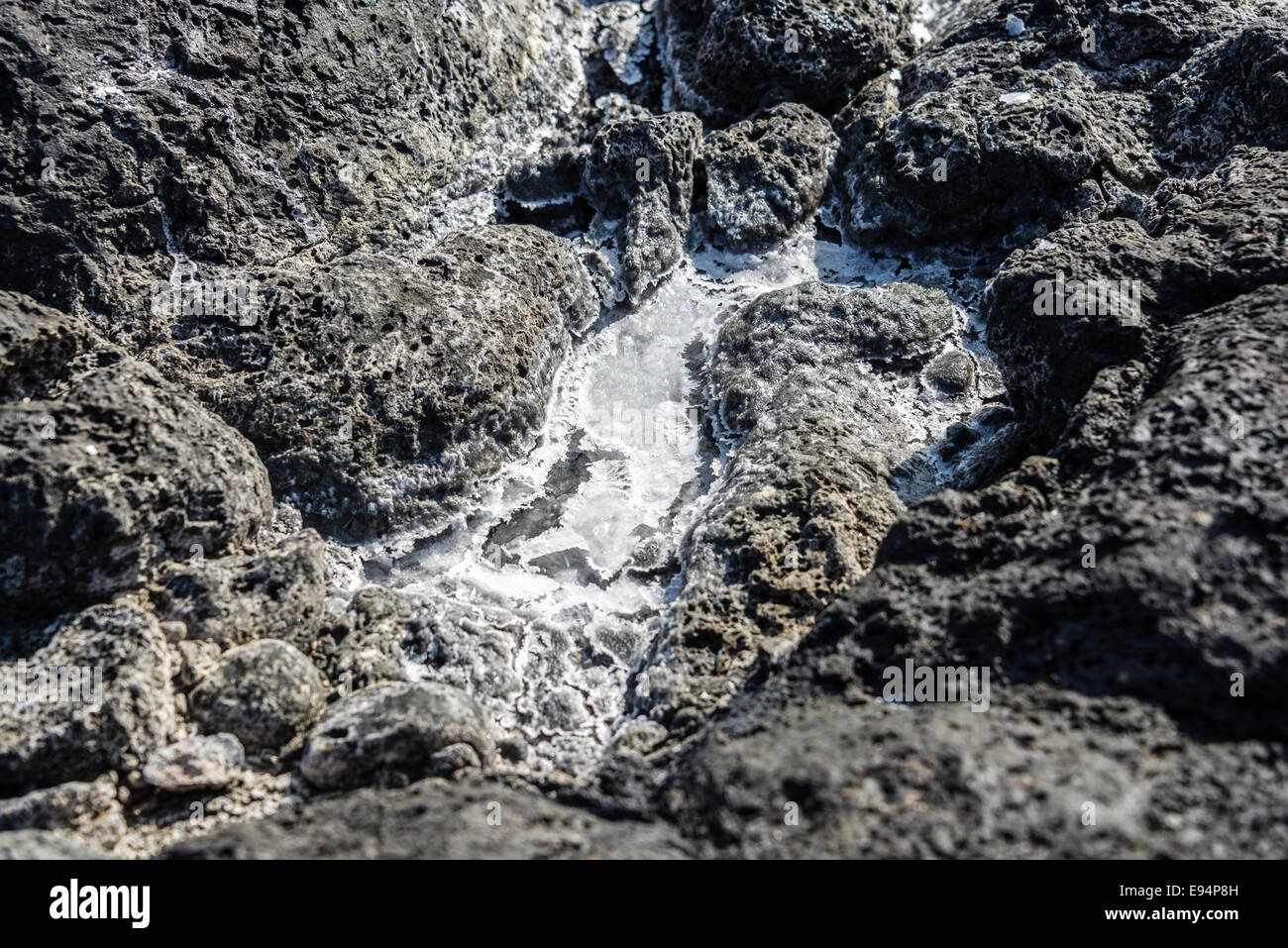 Le sel de l'océan extérieur organique des roches de lave Banque D'Images