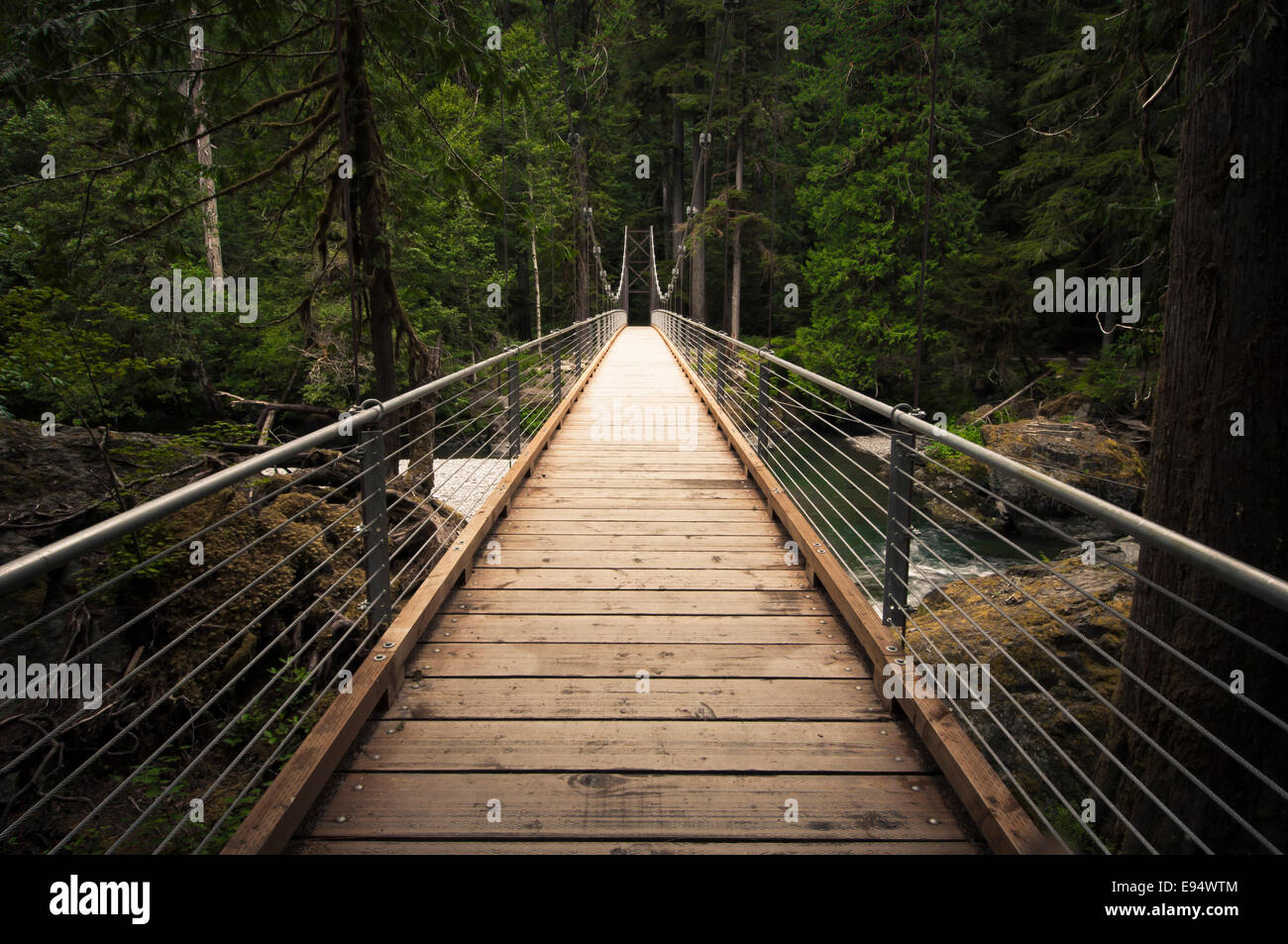 Pont sur la rivière North Fork Amérindien skokomish escalier, salon, Olympic National Park, Washington, USA Banque D'Images