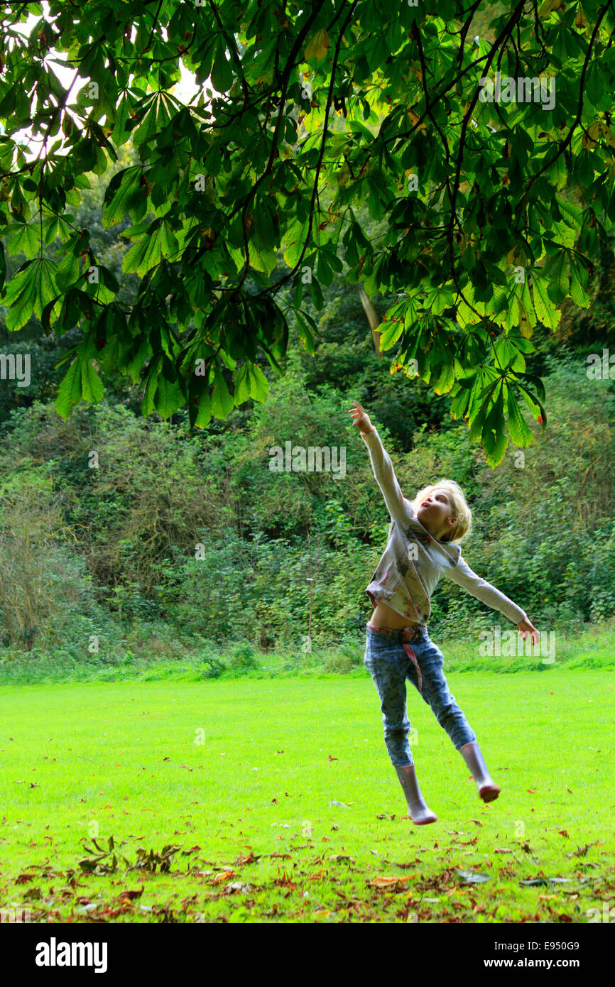 Petite fille la collecte de conkers. Lancer un bâton dans l'arbre marronnier de frapper certains conkers vers le bas. Banque D'Images