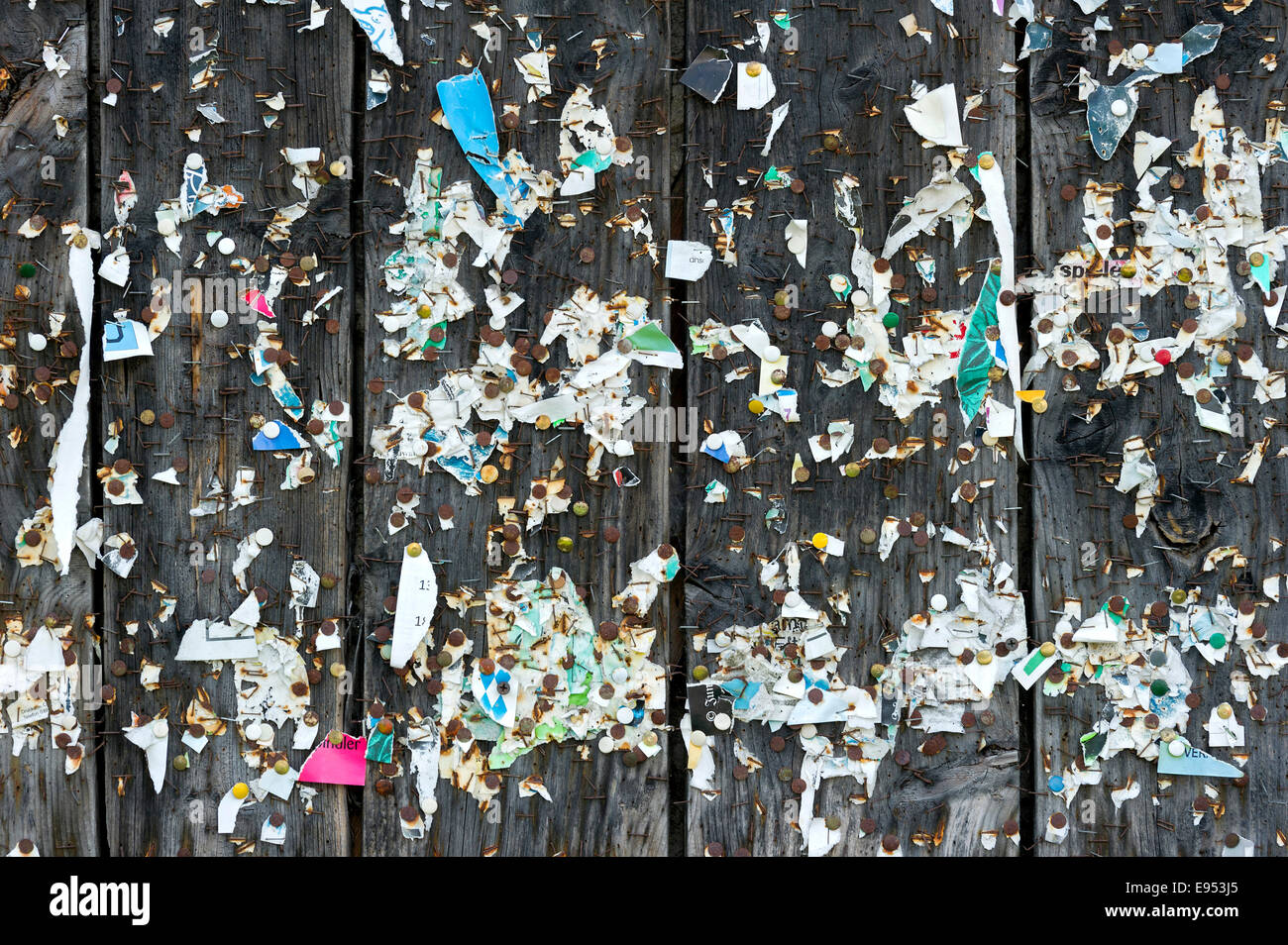 Mur en bois avec des morceaux d'affiches et d'agrafes, punaises, Allemagne Banque D'Images