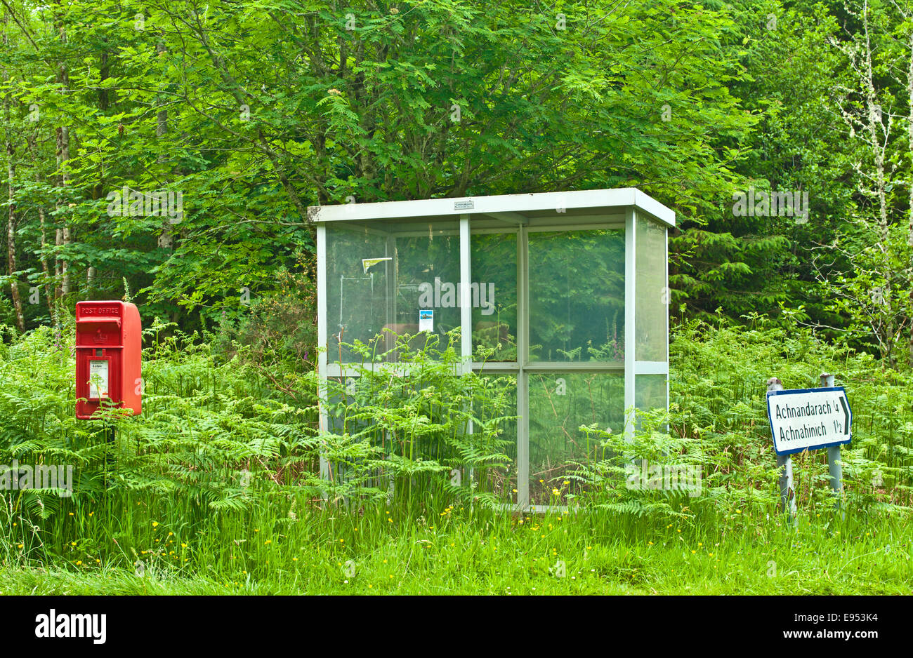 Publiez fort peu utilisée et minable abri bus entouré de grands bracken et herbe à la jonction de route dans un bois près de Plockton Banque D'Images