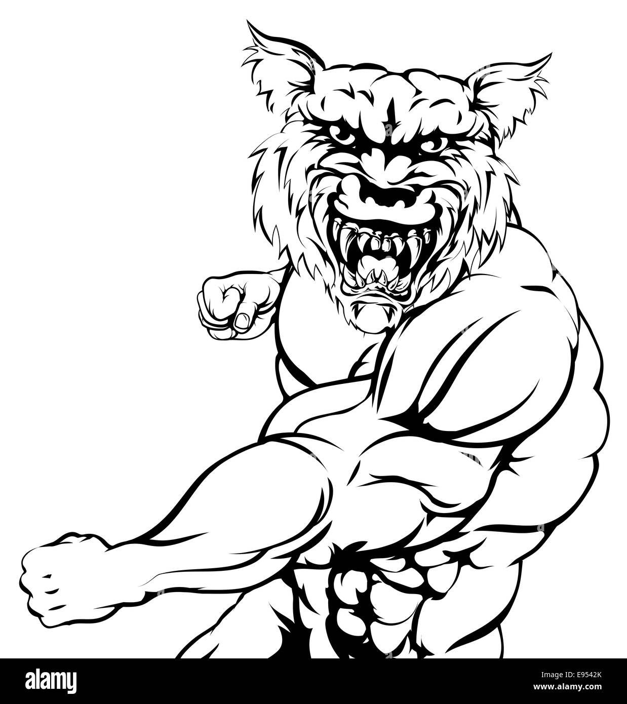 Une moyenne des animaux mascotte loup sports boxe à viewer Banque D'Images