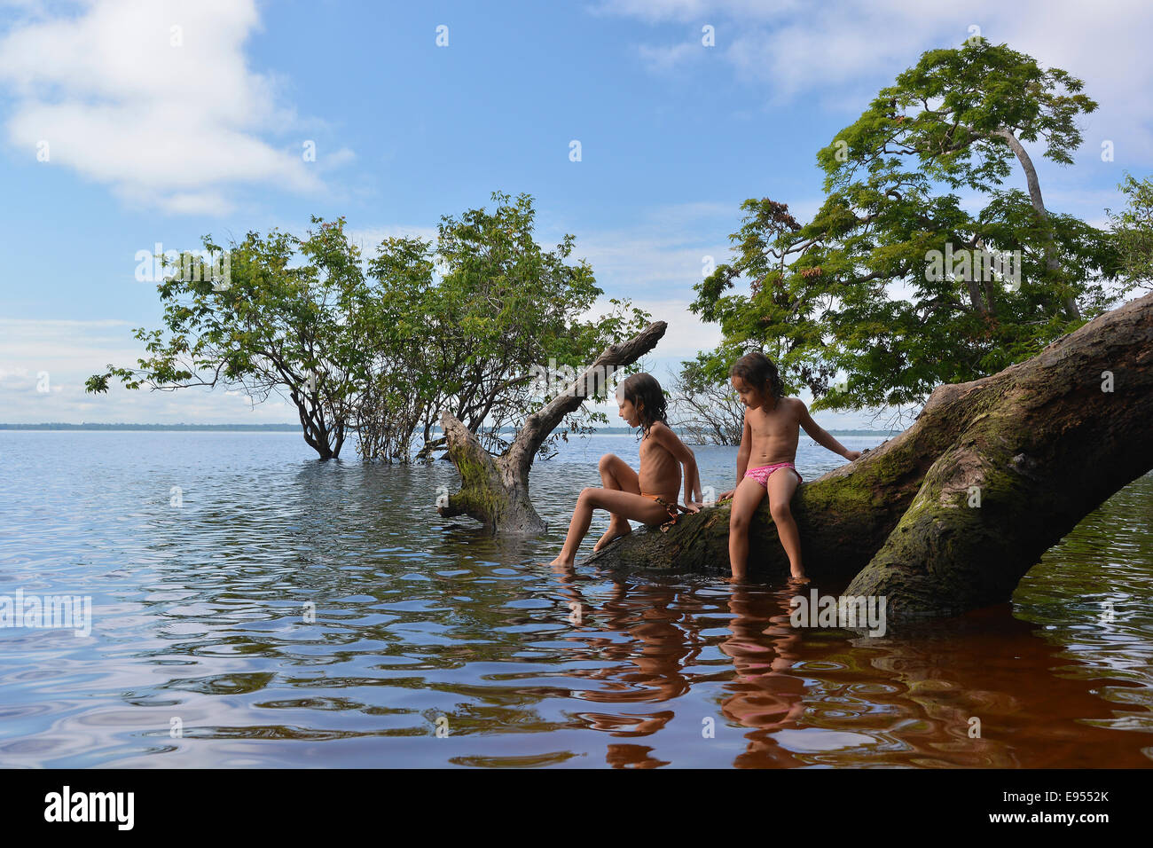 Fille assise sur un tronc d'arbre d'un arbre géant sur les bords de l'Amazone et le Rio Solimões, durable de Mamirauá Banque D'Images