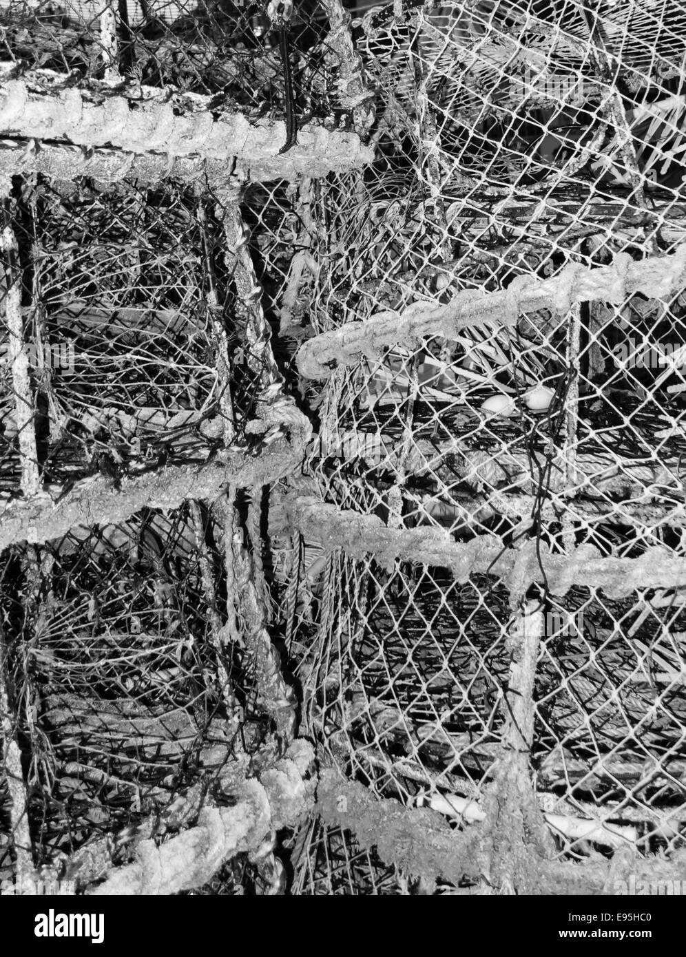 Des casiers à crabe et homard empilés sur le mur du port Torquay UK Banque D'Images
