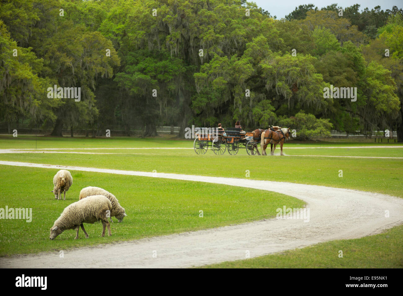 La CALÈCHE MIDDLETON PLACE ANCIEN ESCLAVE ASHLEY RIVER PLANTATION CHARLESTON EN CAROLINE DU SUD USA Banque D'Images