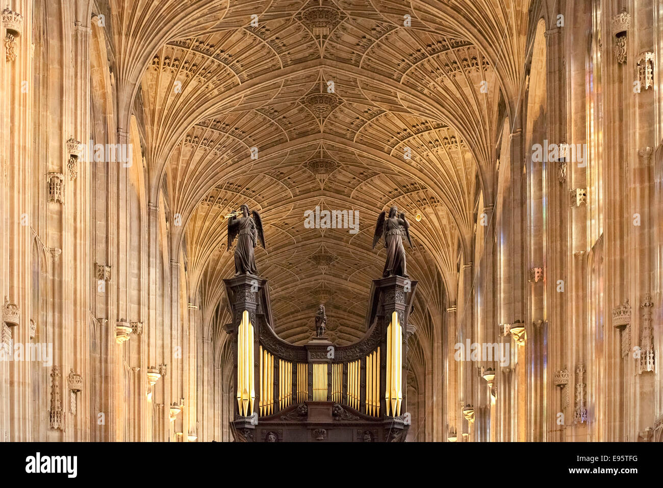 Orgue et les voûtes de la chapelle de King's College, Cambridge Banque D'Images
