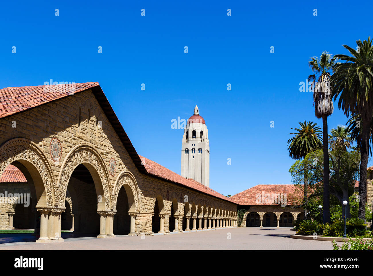 Quad principal avec Hoover Tower derrière, Stanford University, Palo Alto, Californie, États-Unis Banque D'Images