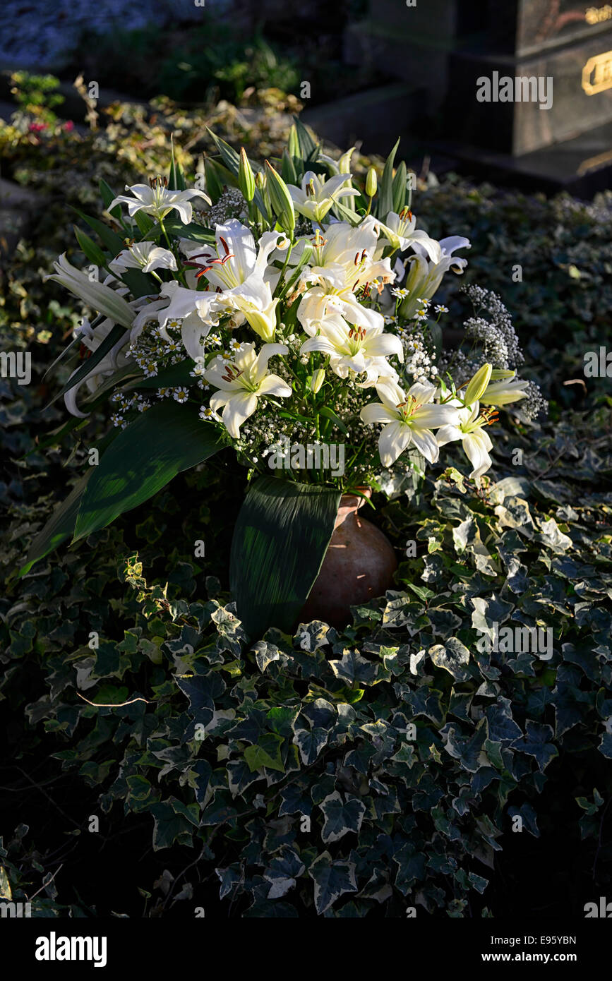 Fleurs lys fleurs cimetière tombe de lierre Banque D'Images
