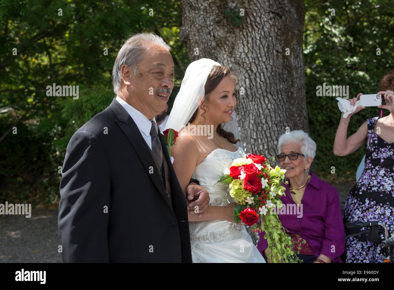 Père sa fille marche dans l'allée pendant la cérémonie du mariage à Marin Art et jardin, centre ville de Ross, le comté de Marin, en Californie Banque D'Images