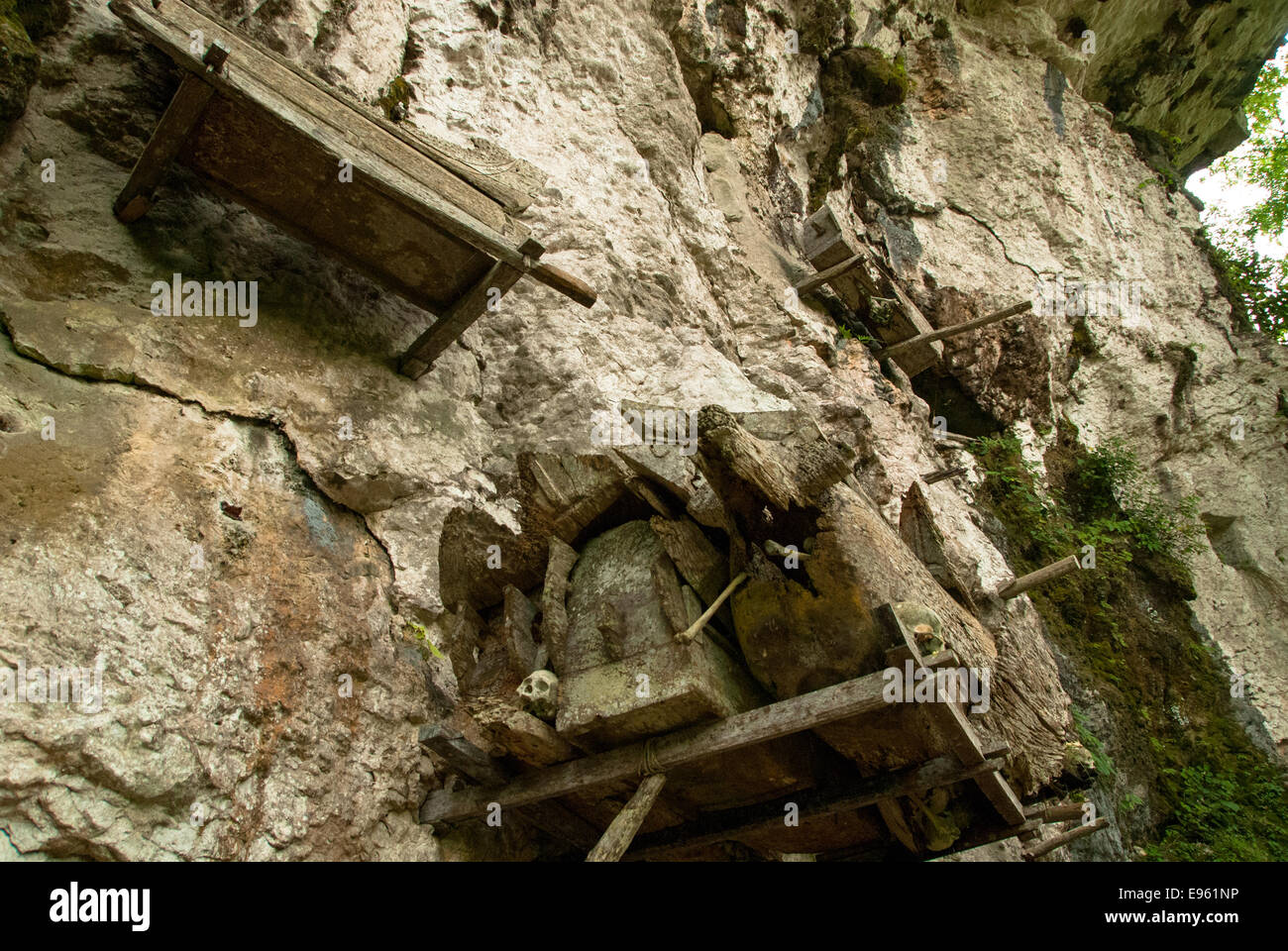 Hanging tombes de kete kesu à Tanah toraja à Sulawesi en Indonésie Banque D'Images