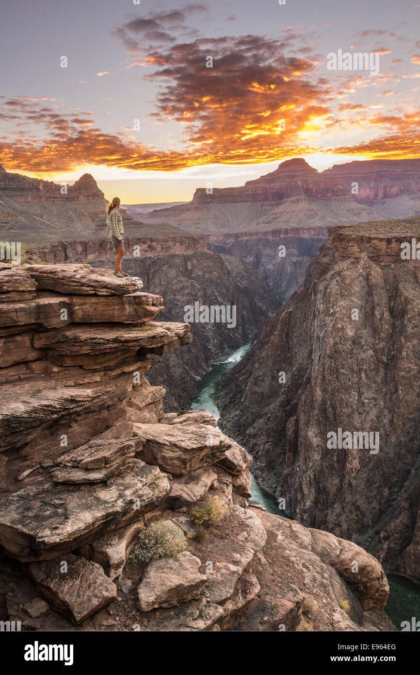 Vue depuis le point du Plateau, le Parc National du Grand Canyon, Arizona. Banque D'Images
