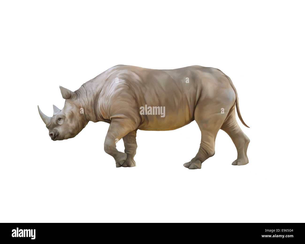 Gros Rhinocéros rhinocéros d'Afrique, isolé sur fond blanc Banque D'Images