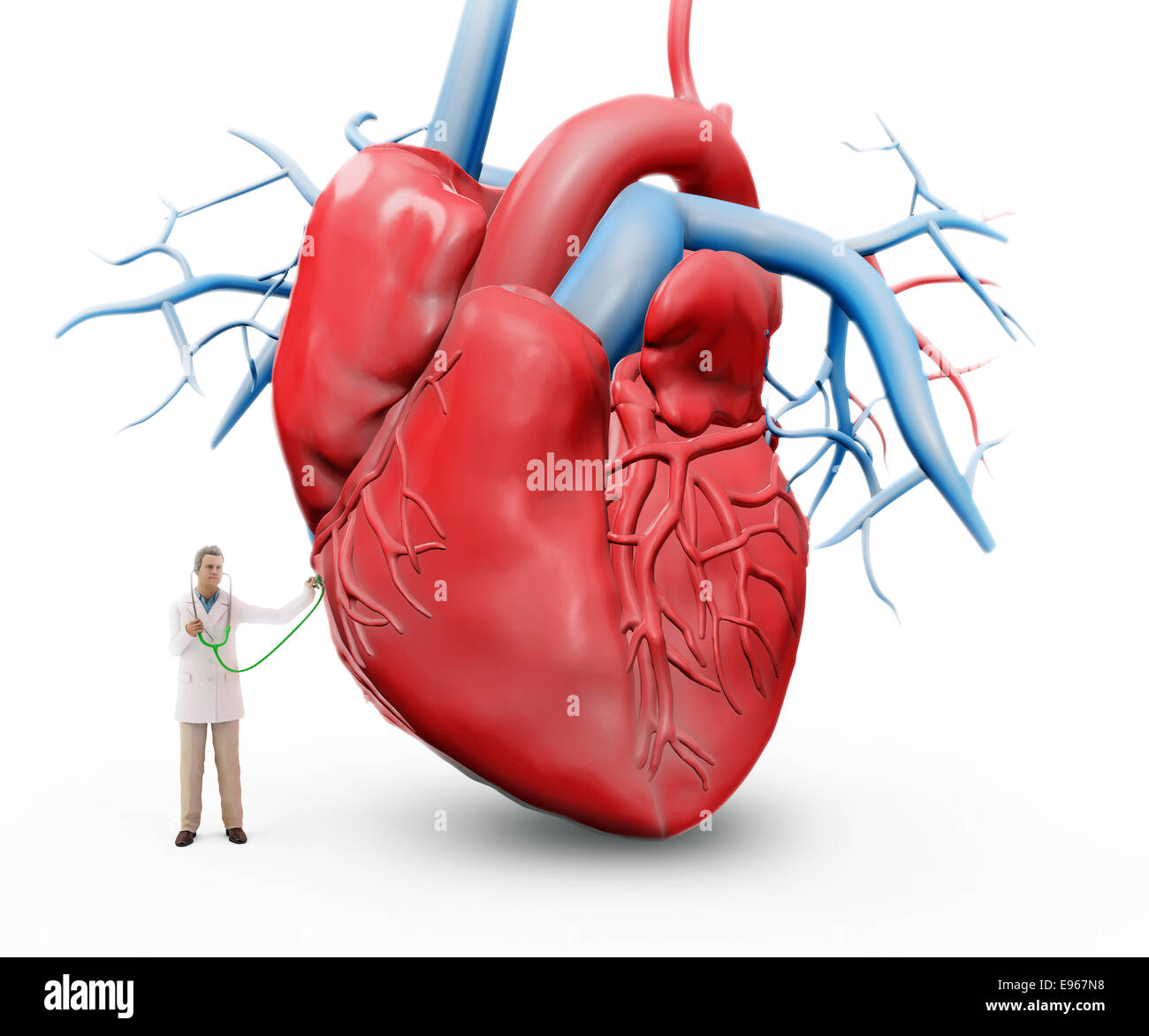 Petit médecin avec un stéthoscope de l'examen d'un cerveau Banque D'Images